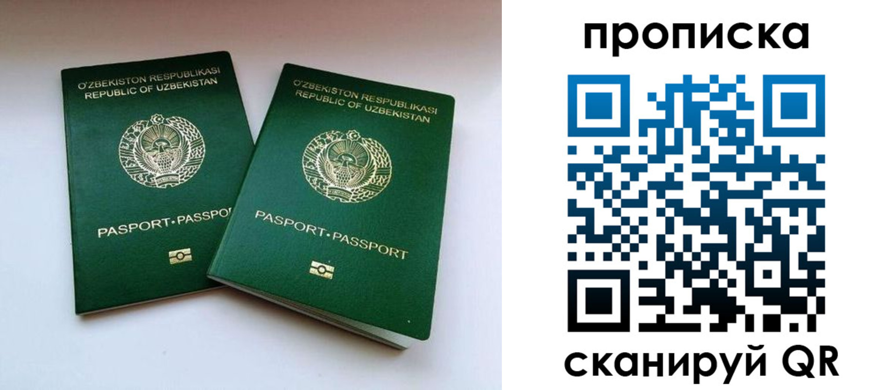 прописка поиск в Поронайске